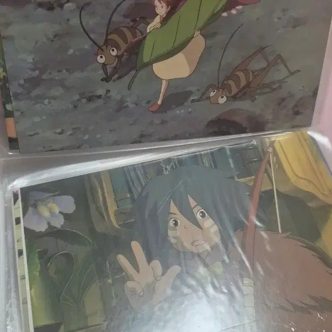 [BUNJANG] Ghibli Postcard Set with Storage File / 지브리 엽서세트 처분