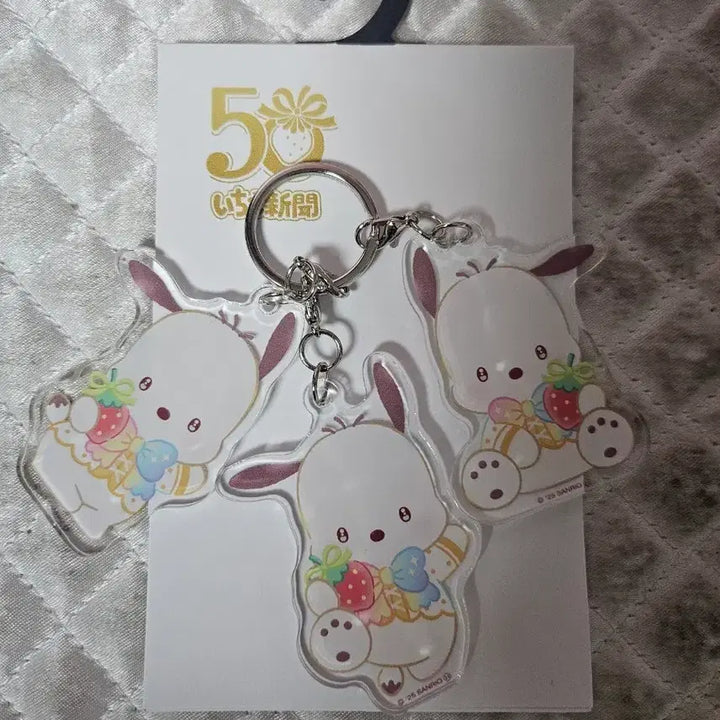[BUNJANG] Sanrio Pochacco 50th Anniversary Limited Edition Acrylic Keychain (3-Piece Set) / (일본정품/한정판) 산리오 50주년 포차코 아크릴 키홀더 3P