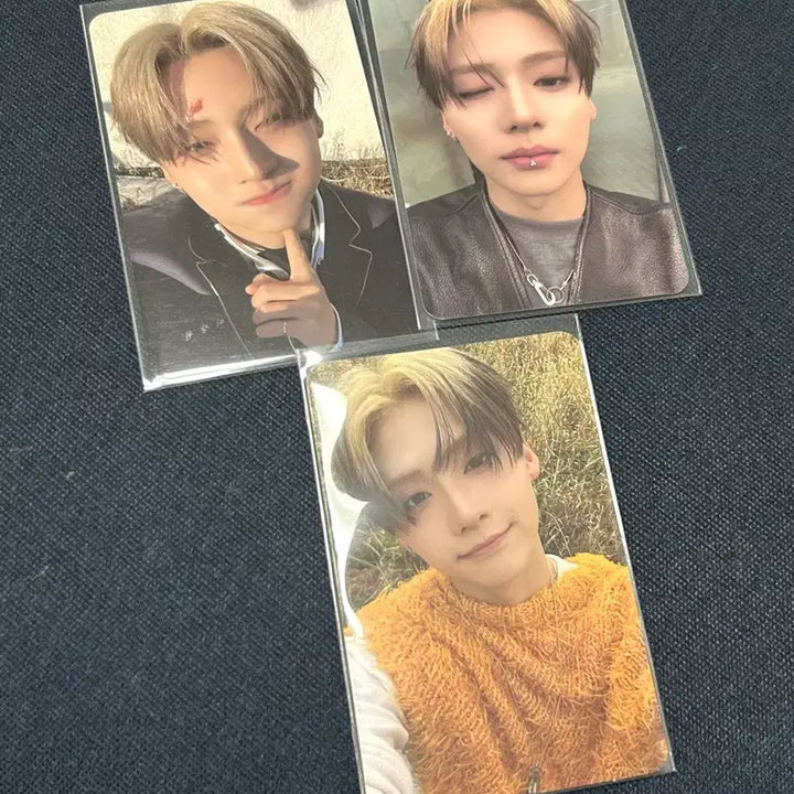 [BUNJANG] Lee Sang-won Bundle Set Photocards / (일괄) 알디원 이상원 포카 일괄