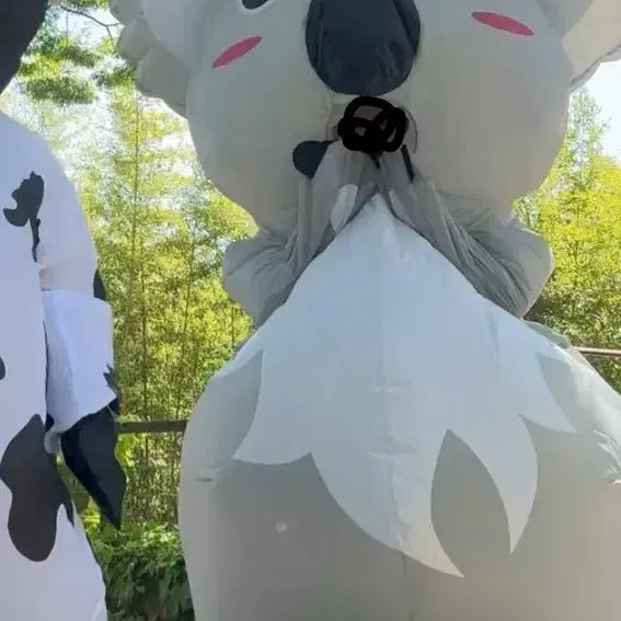 [BUNJANG] Koala Airsuit Graduation Photo Costume Rental / 졸업사진 코알라에어슈트