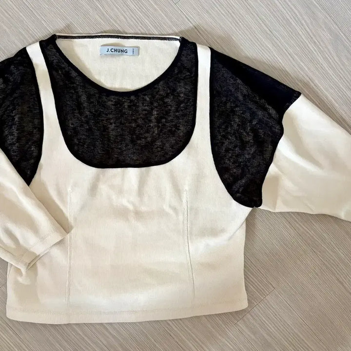 [BUNJANG] J.CHUNG Color-Blocked See-Through Long Sleeve Top / 제이청 J.CHUNG 배색 시스루 탑
