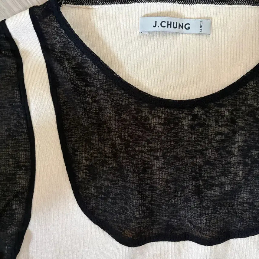 [BUNJANG] J.CHUNG Color-Blocked See-Through Long Sleeve Top / 제이청 J.CHUNG 배색 시스루 탑