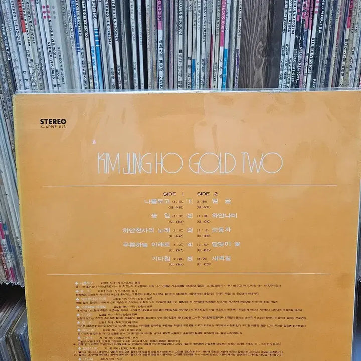[BUNJANG] Kim Jung Ho 2nd Album Gold LP / [LP]김정호 골드 2집