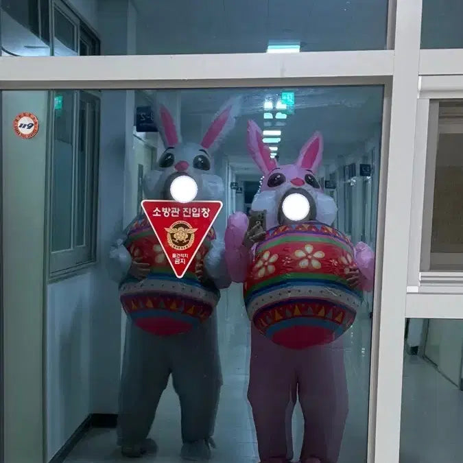 [BUNJANG] Easter Bunny Air Suit Rental / 에어슈트 부활절 토끼 졸업사진 대여