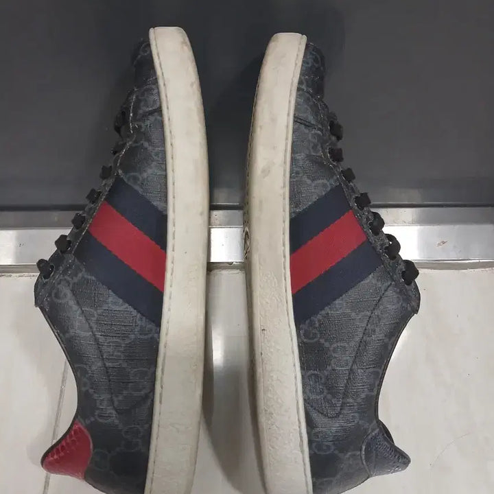 [BUNJANG] Gucci Sneakers / 구찌 신발 100만원주고삿어요