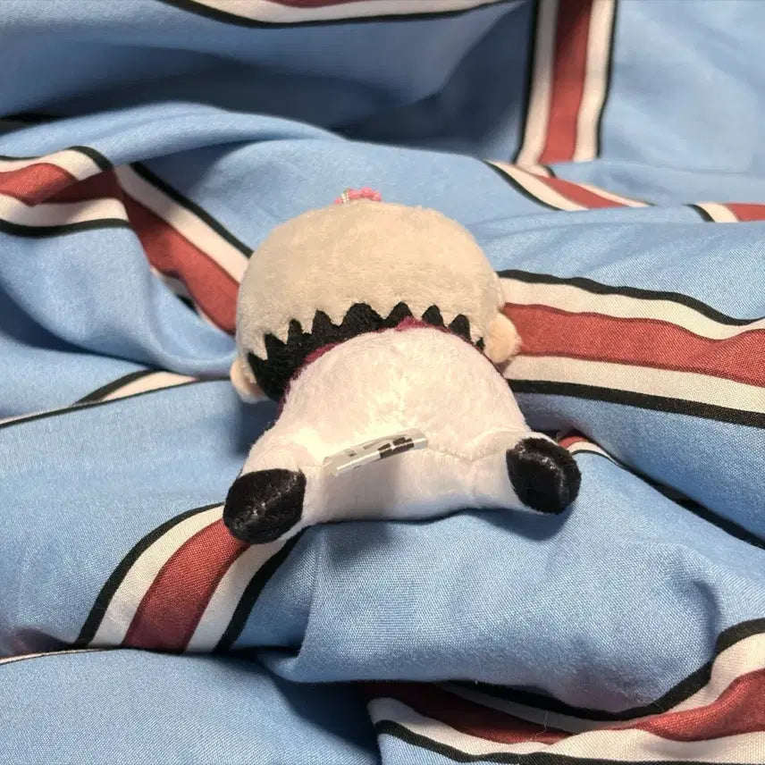 [BUNJANG] Haikyuu!! Shinsuke Kita Hug Character Plush / 하이큐 키타 신스케 허그캬라 집게누이