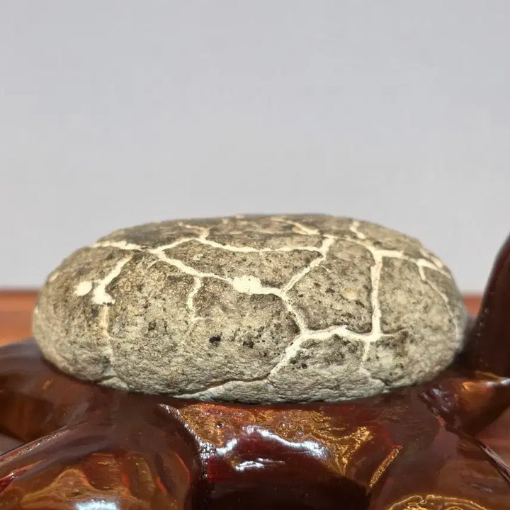[BUNJANG] Smiling Turtle Stone Sculpture / 26050409 웃고있는 국내 구갑 거북이 수석 팝니다