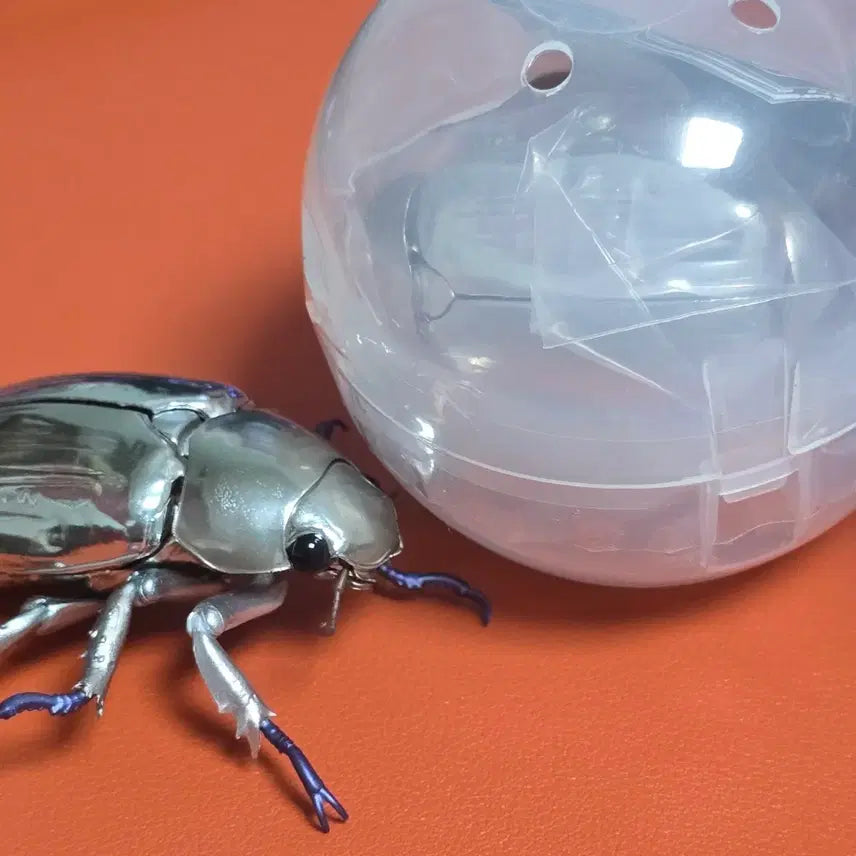 [BUNJANG] Bandai Creature Encyclopedia Advance Jewel Beetle Silver (Sealed) / 반다이 생물대도감 어드밴스 보석풍뎅이 실버 미개봉 1개