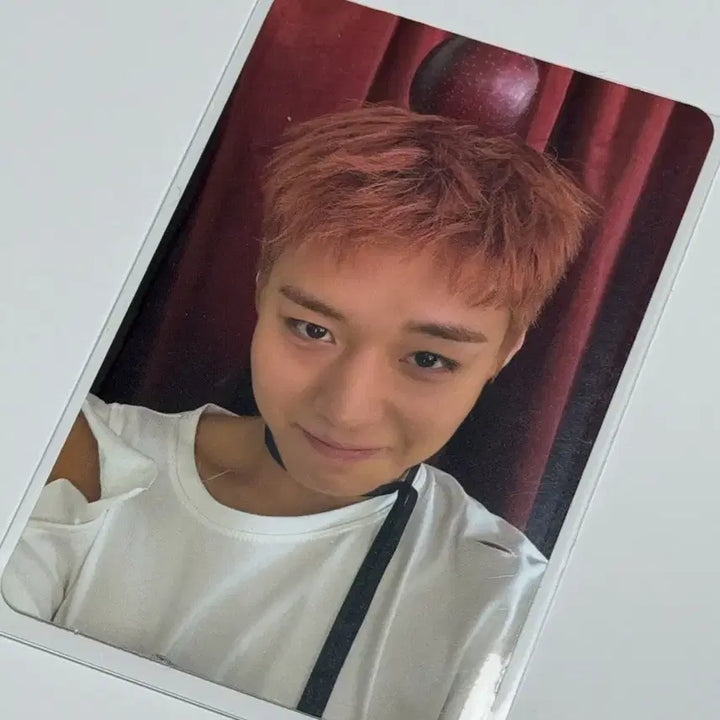 [BUNJANG] Park Ji Hoon Apple Photocard / 박지훈 사과 포카 포토카드 리플렉트