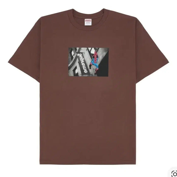[BUNJANG] Supreme Spider-Man T-Shirt Brown XXL / [새상품]슈프림 스파이더맨 티셔츠 브라운 XXL