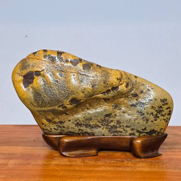 [BUNJANG] Sunchang Leopard Stone Scholar Stone / 26050412 특별한 순창 호피석 수석 팝니다
