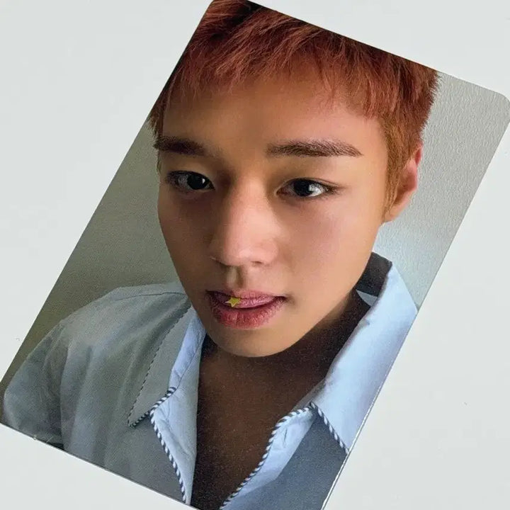 [BUNJANG] Park Jihoon Reflect Photocard / 박지훈 포카 리플렉트 포토카드