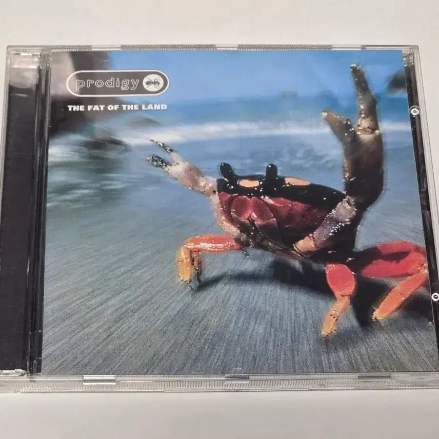 [BUNJANG] The Prodigy The Fat of the Land CD / The Prodigy - The Fat of the Land (프로디지