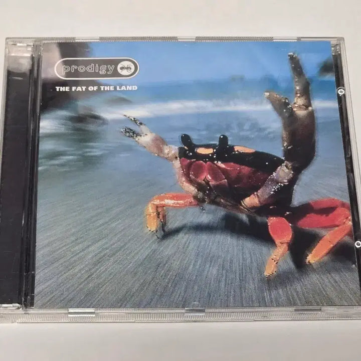 [BUNJANG] The Prodigy The Fat of the Land CD / The Prodigy - The Fat of the Land (프로디지