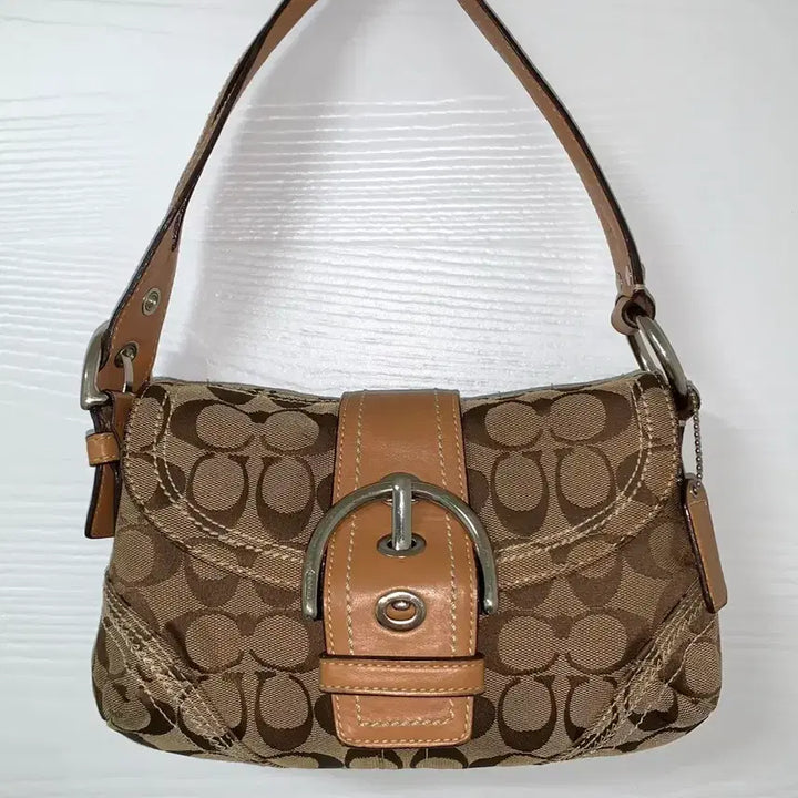 [BUNJANG] Coach Signature Shoulder Bag Brown / 코치 시그니처 숄더백 브라운