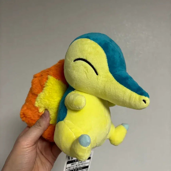 [BUNJANG] Pokemon Cyndaquil Plush Doll / 포켓몬 히노아라시  브케인 인형 봉제인형
