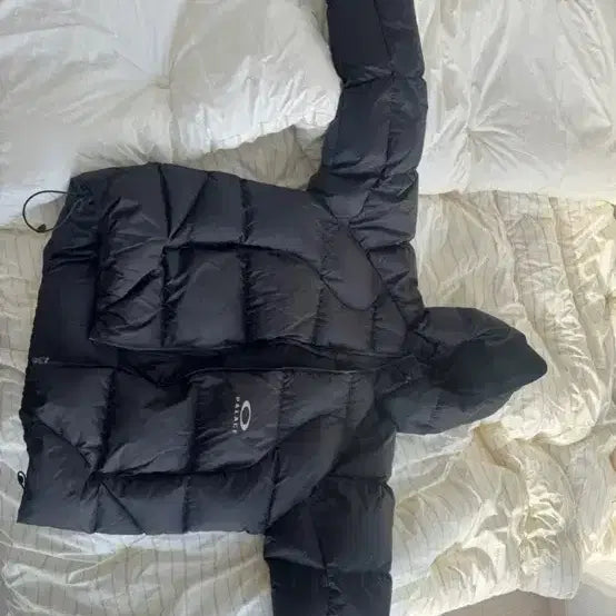[BUNJANG] Oakley x Palace Puffer Down Jacket XL / 오클리x팔라스 푸퍼 패딩 XL