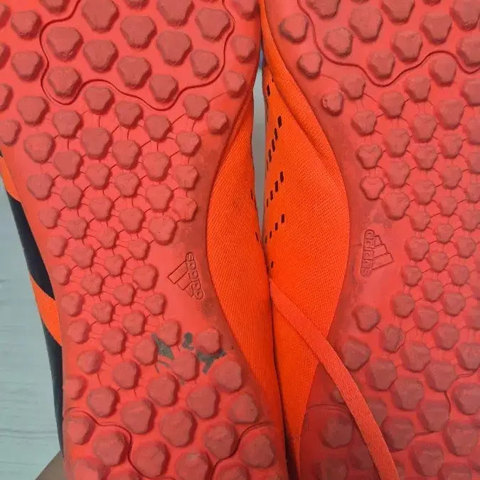 [BUNJANG] Adidas Predator Futsal Shoes / 아디다스 프레데터 풋살화