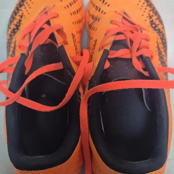 [BUNJANG] Adidas Predator Futsal Shoes / 아디다스 프레데터 풋살화