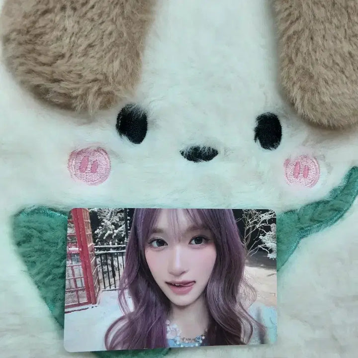 [BUNJANG] IVE I&