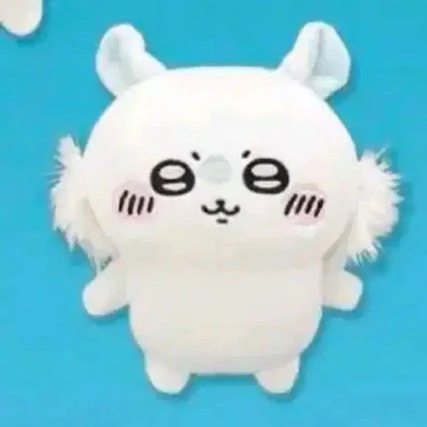 [SOLD OUT] 모몽가/모몬가 후류 채집 누이