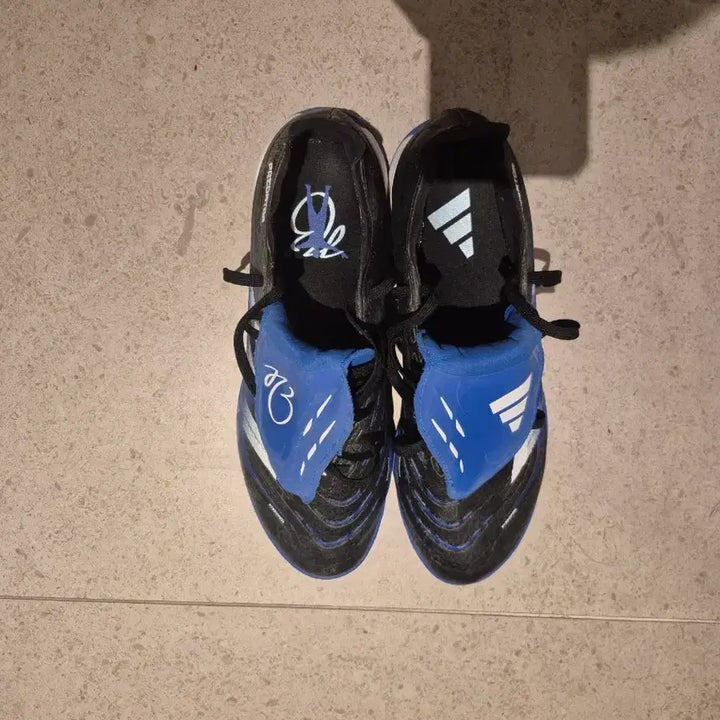 [BUNJANG] Adidas Predator Soccer Cleats Size 255 Pro Grade / 아디다스 프레데터 축구화 255사이즈 프로 등급 판매합니다