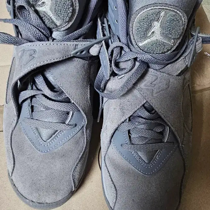 [BUNJANG] Air Jordan 8 Cool Grey / 조던8 쿨그레이
