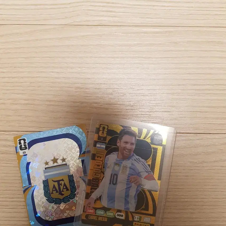 [BUNJANG] Panini 2022 World Cup Golden Ball Messi Card / 2022월드컵 파니니 골든볼 메시 카드