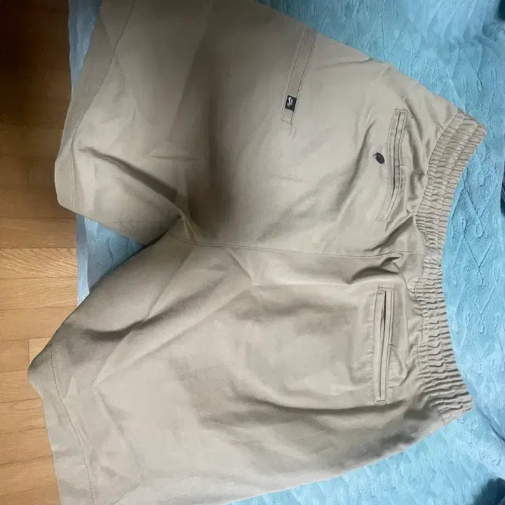 [BUNJANG] Nike SB Dri-FIT Cotton Shorts (Beige) / 나이키 SB 드라이핏 코튼 반바지(베이지)