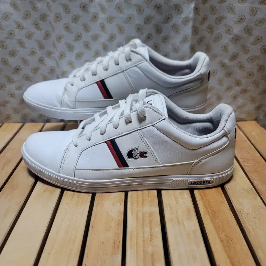 [BUNJANG] Lacoste Europa TCL Sneakers / 라코스테 운동화 유로파 260