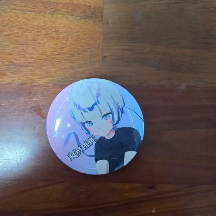 [BUNJANG] HEBI Fan Concert Badge / hebi 팬콘 뱃지