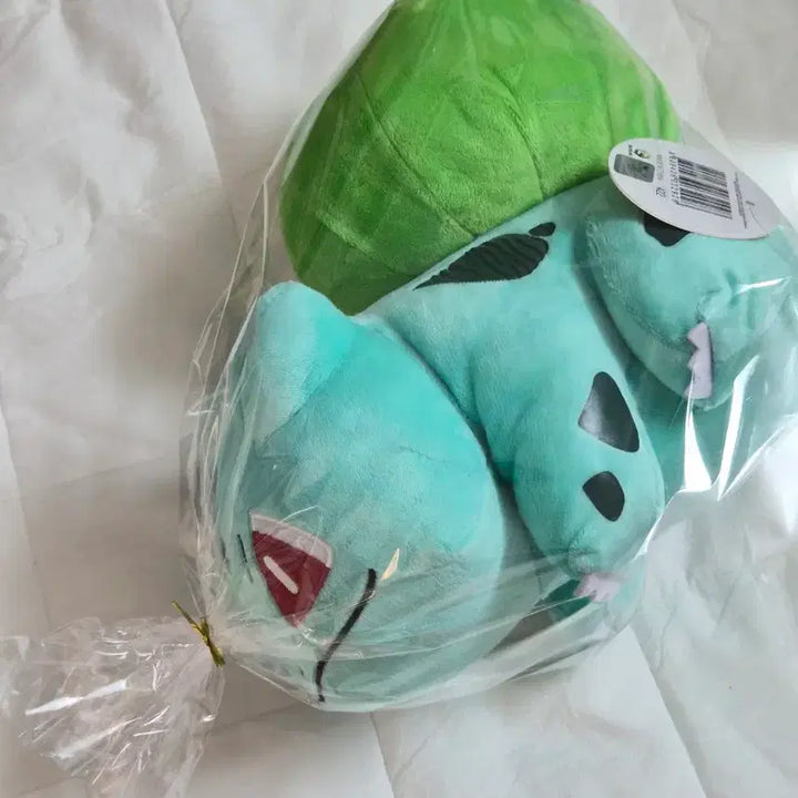 [BUNJANG] Bulbasaur Medium Plush (25cm) / [새상품] 이상해씨 중형 (25cm) 인형