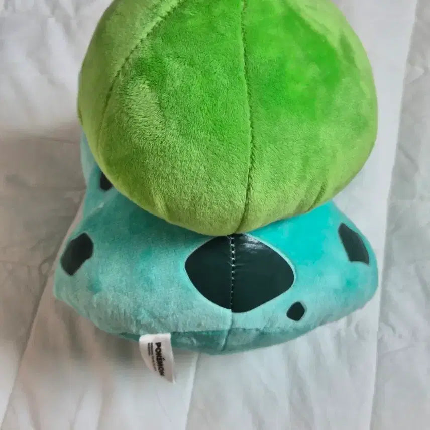 [BUNJANG] Bulbasaur Medium Plush (25cm) / [새상품] 이상해씨 중형 (25cm) 인형