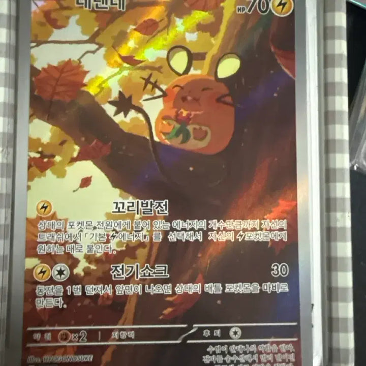 [SOLD OUT] 포켓몬 데덴네 카드