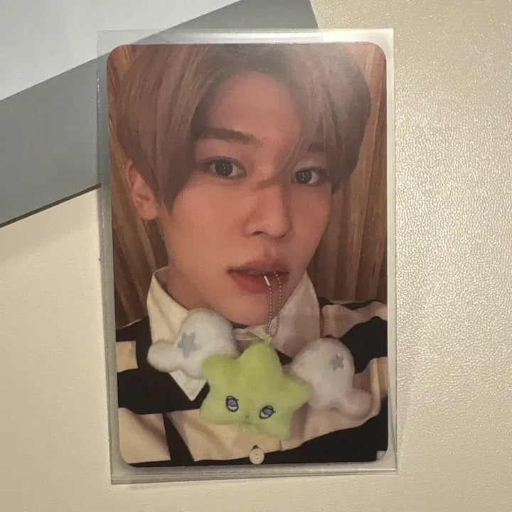 [BUNJANG] NCT WISH YUSHI PHOTOCARD SION / 엔시티위시 위츄 포카 시온