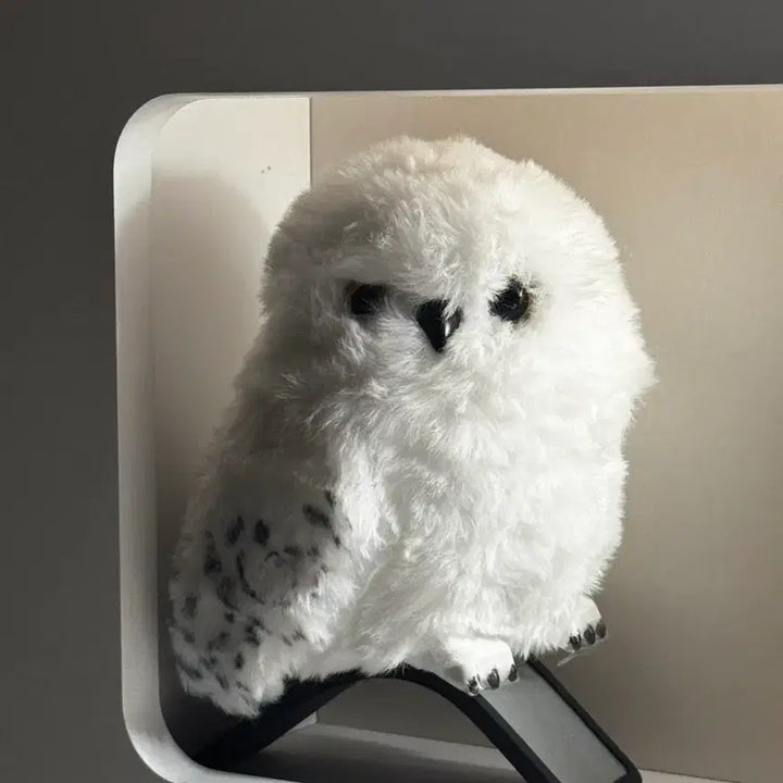[BUNJANG] Universal Studios Harry Potter Hedwig Owl - Voice Activated Moving Plush / 유니버셜 스튜디오 해리포터 헤드위그 부엉이 정품 음성인식 무빙