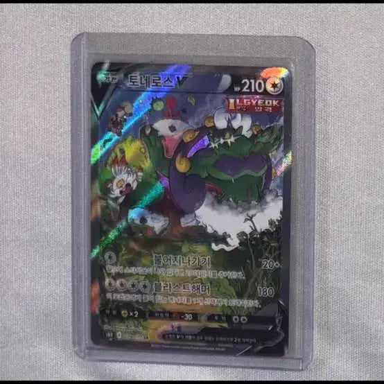 [BUNJANG] Pokemon Card - Tornadus V Special Illustration / 토네로스 v 특일 포켓몬카드