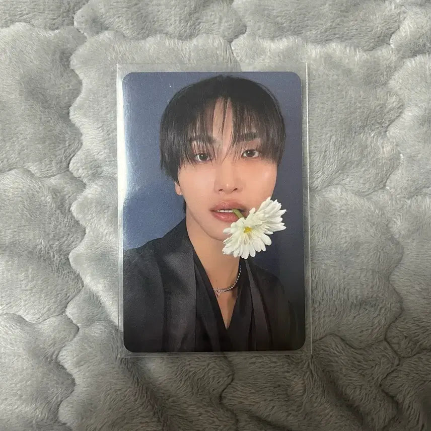 [BUNJANG] Ateez Seonghwa Apple Music Flower Photocard / 에이티즈 ateez 성화 애플뮤직 꽃