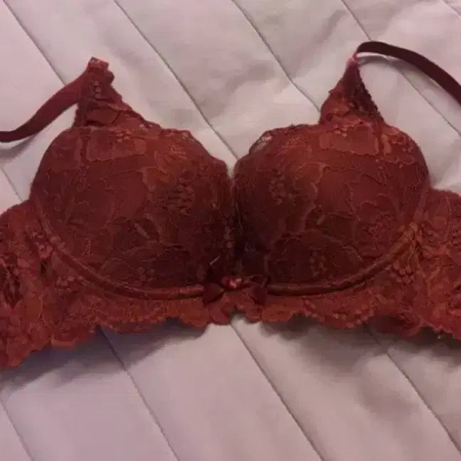 [BUNJANG] Aimée Feel Choomori Lace Bra / 에메필 초모리 레이스 브라