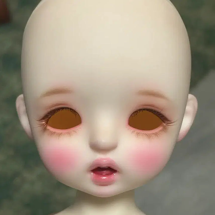 [SOLD OUT] 리나슈슈 토끼 usd + 물품 및 아웬가발 ㅊㅋㅂ 멬 월요일까지이가격
