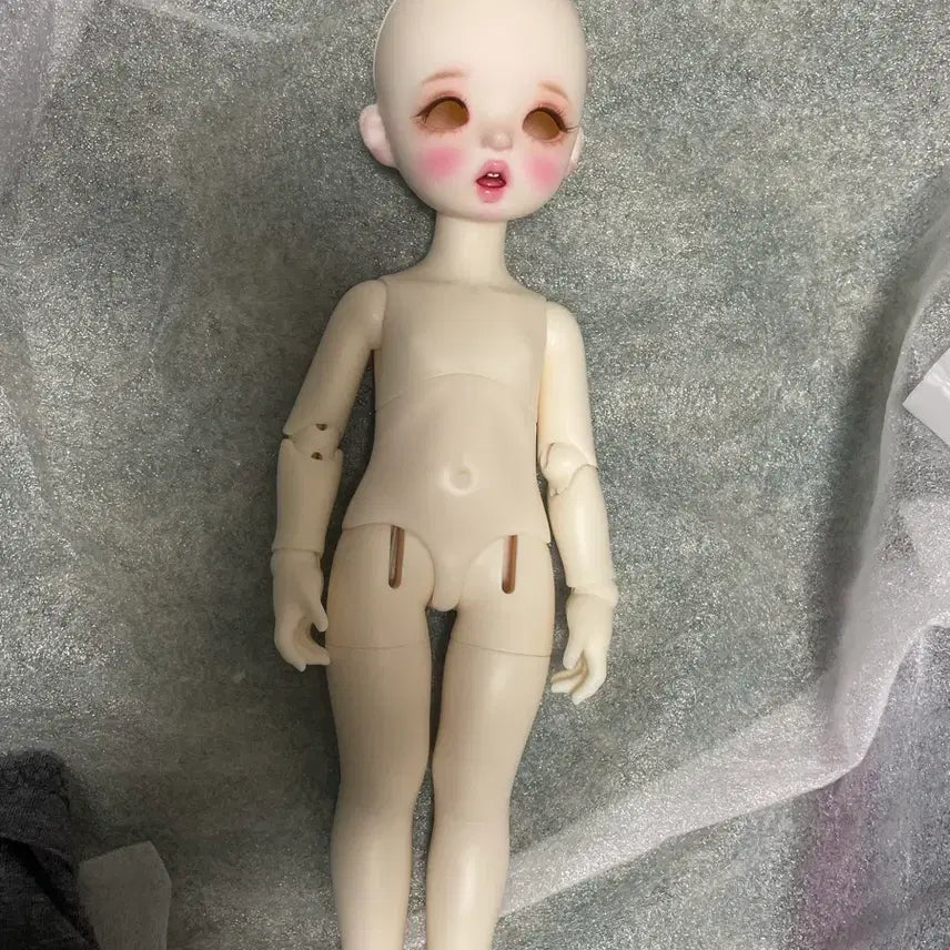 [SOLD OUT] 리나슈슈 토끼 usd + 물품 및 아웬가발 ㅊㅋㅂ 멬 월요일까지이가격