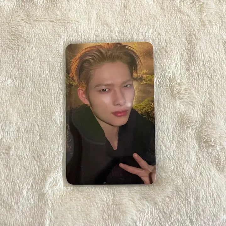 [SOLD OUT] [BUNJANG] ENHYPEN Niki Blood Album Engine-Zon Photocard / 엔하이픈 니키 블러드 사가 엔진존 포카