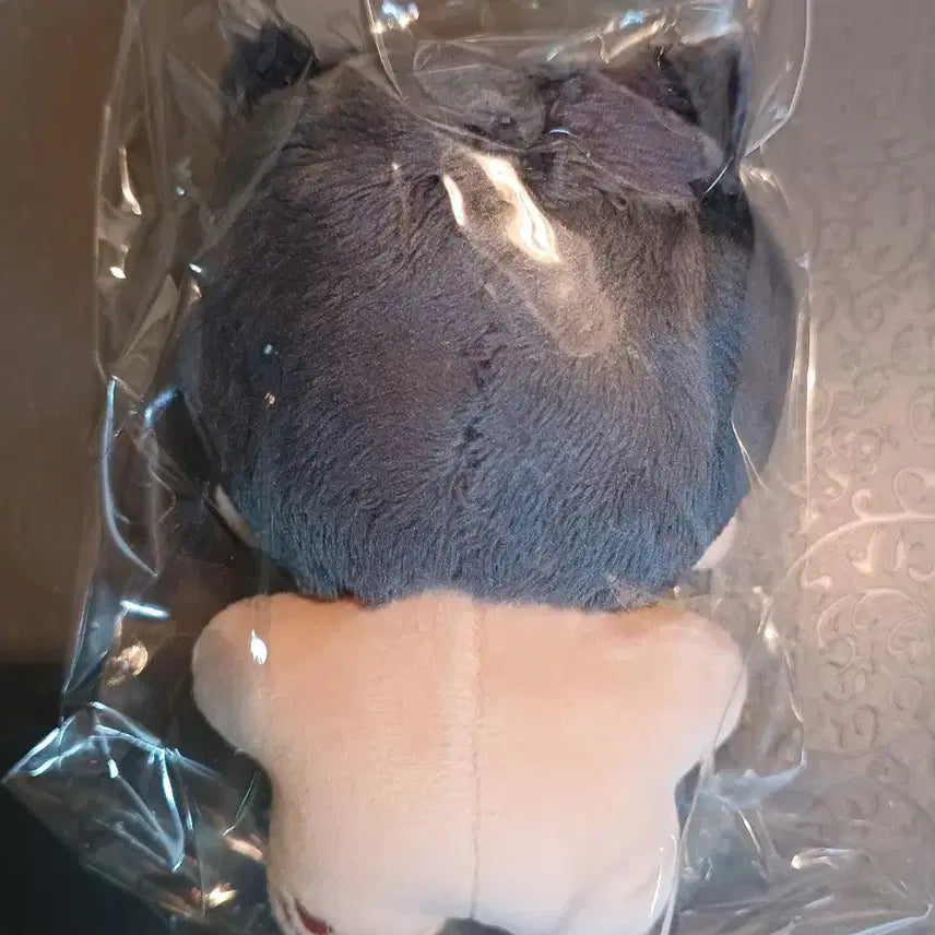 [BUNJANG] ENHYPEN Jay 10cm Plush Doll / 엔하이픈 제이 10cm 인형