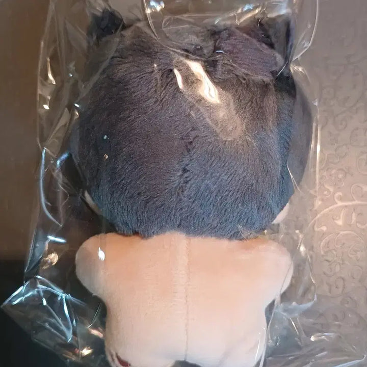 [BUNJANG] ENHYPEN Jay 10cm Plush Doll / 엔하이픈 제이 10cm 인형