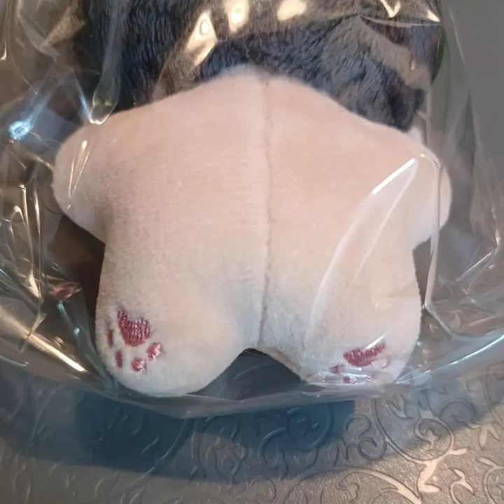 [BUNJANG] ENHYPEN Jay 10cm Plush Doll / 엔하이픈 제이 10cm 인형