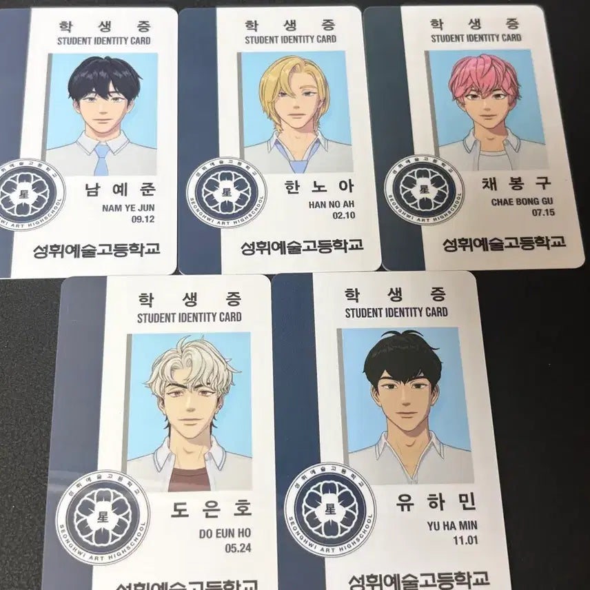 [BUNJANG] PlaYve Student ID Card Bundle Set (Minor Scratches) / 플레이브 학생증 일괄 (기스많음)