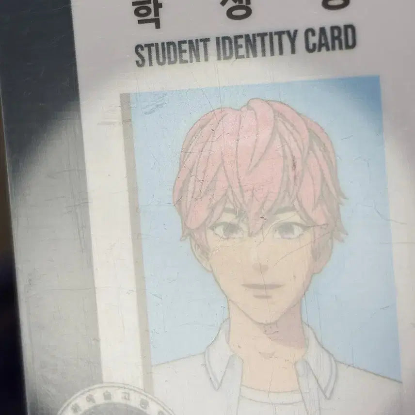[BUNJANG] PlaYve Student ID Card Bundle Set (Minor Scratches) / 플레이브 학생증 일괄 (기스많음)