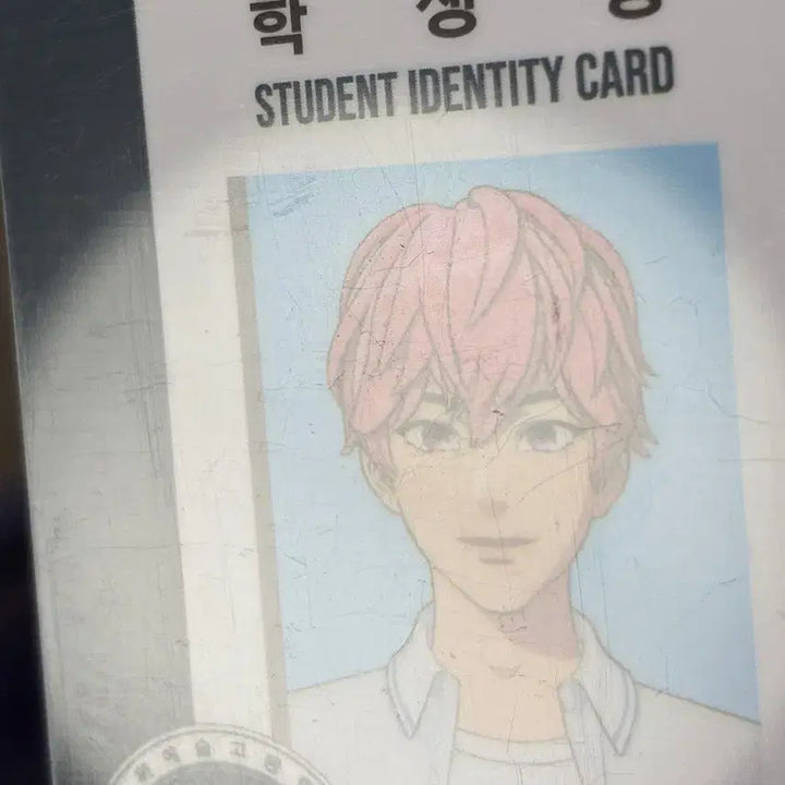[BUNJANG] PlaYve Student ID Card Bundle Set (Minor Scratches) / 플레이브 학생증 일괄 (기스많음)