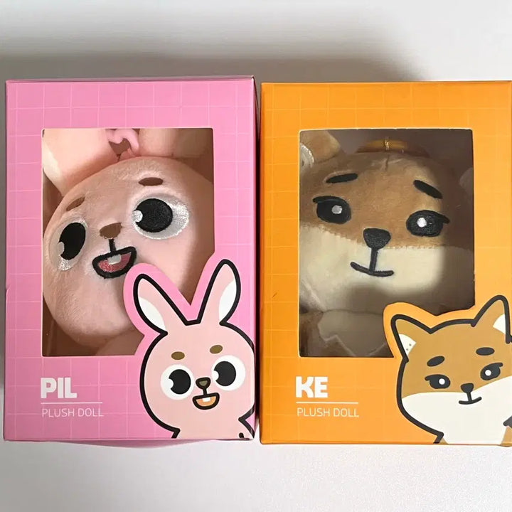 [BUNJANG] DAY6 Denny&