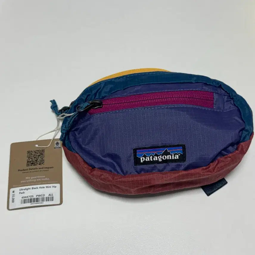 [BUNJANG] Patagonia Mini Hip Pack (1L) / 파타고니아 미니 힙색